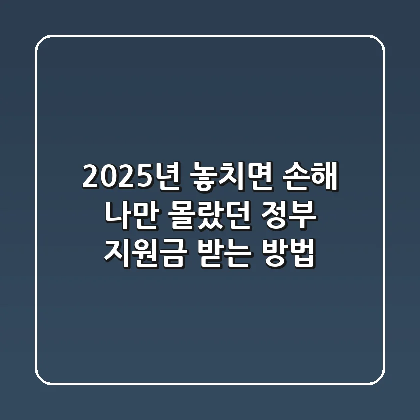 2025년, 놓치면 손해! 나만 몰랐던 정부 지원금 받는 방법