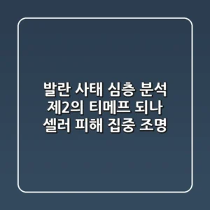 발란 사태 심층 분석: 제2의 티메프 되나? 셀러 피해 집중 조명