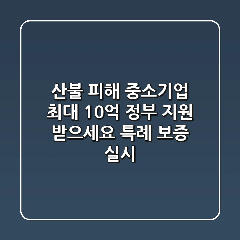 산불 피해 중소기업, 최대 10억 정부 지원 받으세요! 특례 보증 실시