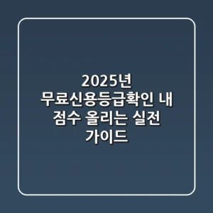 2025년 무료신용등급확인, 내 점수 올리는 실전 가이드
