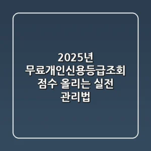 2025년 무료개인신용등급조회: 점수 올리는 실전 관리법