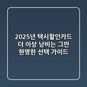2025년 택시할인카드, 더 이상 낭비는 그만! 현명한 선택 가이드