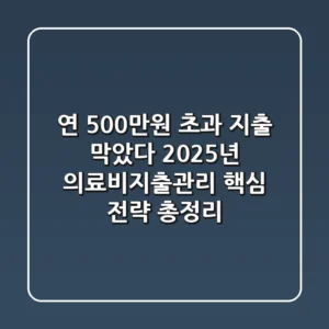 "연 500만원 초과 지출 막았다", 2025년 의료비지출관리 핵심 전략 총정리