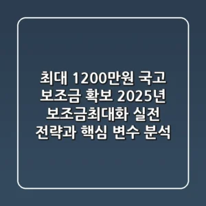 "최대 1200만원 국고 보조금 확보", 2025년 보조금최대화 실전 전략과 핵심 변수 분석