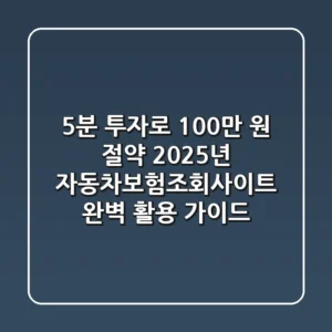 "5분 투자로 100만 원 절약", 2025년 자동차보험조회사이트 완벽 활용 가이드