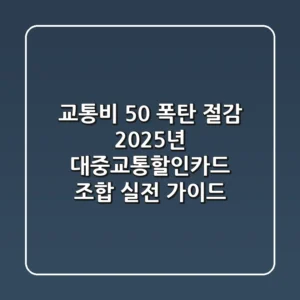"교통비 50% 폭탄 절감", 2025년 대중교통할인카드 조합 실전 가이드