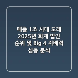 "매출 1조 시대 도래", 2025년 회계 법인 순위 및 Big 4 지배력 심층 분석