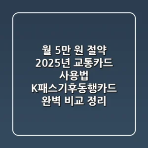 "월 5만 원 절약?", 2025년 교통카드 사용법, K패스·기후동행카드 완벽 비교 정리