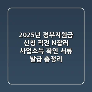 "2025년 정부지원금 신청 직전?", N잡러 사업소득 확인 서류 발급 총정리
