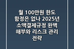 “월 100만원 한도, 함정은 없나?”, 2025년 소액결제규정 완벽 해부와 리스크 관리 전략