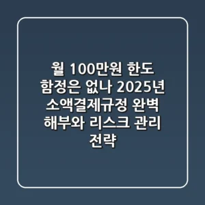 "월 100만원 한도, 함정은 없나?", 2025년 소액결제규정 완벽 해부와 리스크 관리 전략