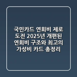국민카드 연회비 "제로" 도전: 2025년 개편된 연회비 구조와 최고의 가성비 카드 총정리