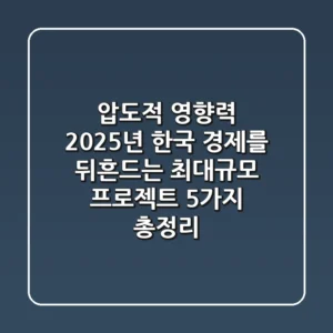 "압도적 영향력", 2025년 한국 경제를 뒤흔드는 최대규모 프로젝트 5가지 총정리