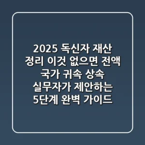 "2025 독신자 재산 정리, '이것' 없으면 전액 국가 귀속", 상속 실무자가 제안하는 5단계 완벽 가이드