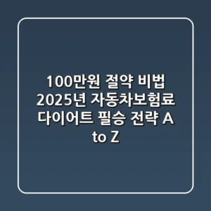 "100만원 절약 비법?", 2025년 자동차보험료 다이어트 필승 전략 A to Z