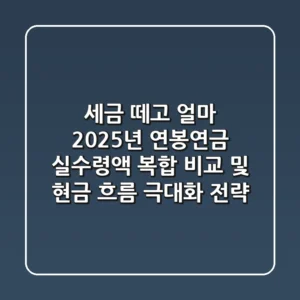 "세금 떼고 얼마?", 2025년 연봉·연금 실수령액 복합 비교 및 현금 흐름 극대화 전략