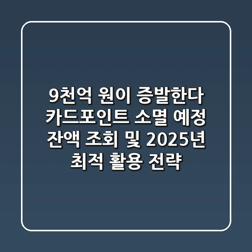 "9천억 원이 증발한다" 카드포인트 소멸 예정 잔액 조회 및 2025년 최적 활용 전략