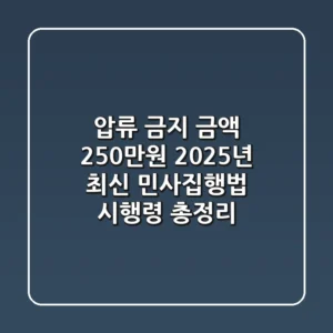 "압류 금지 금액 250만원", 2025년 최신 민사집행법 시행령 총정리