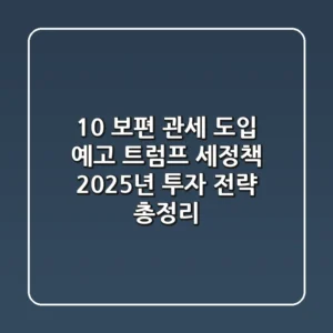 "10% 보편 관세 도입 예고", 트럼프 세정책 2025년 투자 전략 총정리